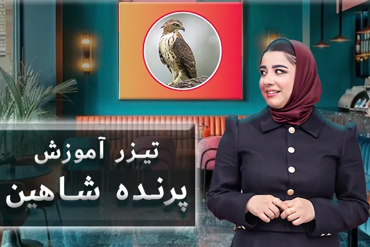 تیزر پرنده آموزش شاهین